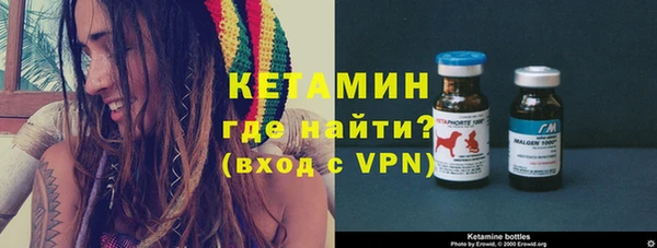 крисы Алексин