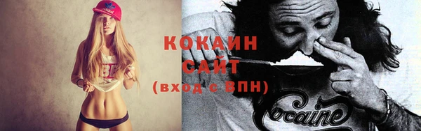 крисы Алексин