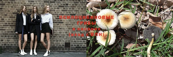 эйфоретик Алзамай