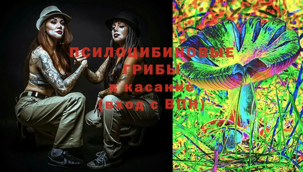 мяу мяу мука Алексеевка