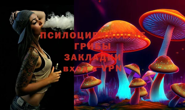 эйфоретик Алзамай