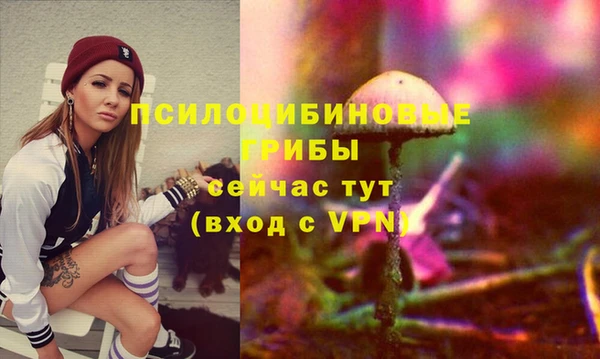 эйфоретик Алзамай