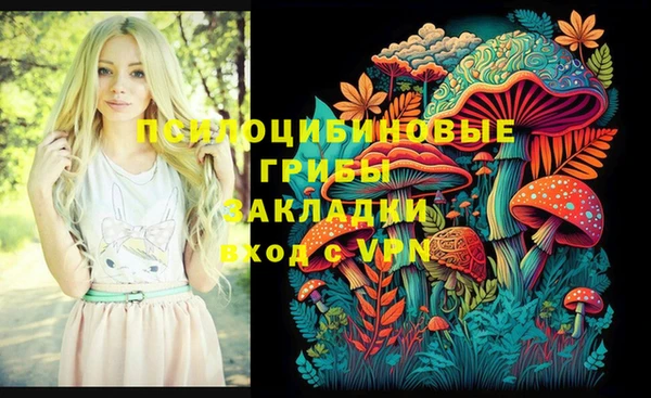 эйфоретик Алзамай