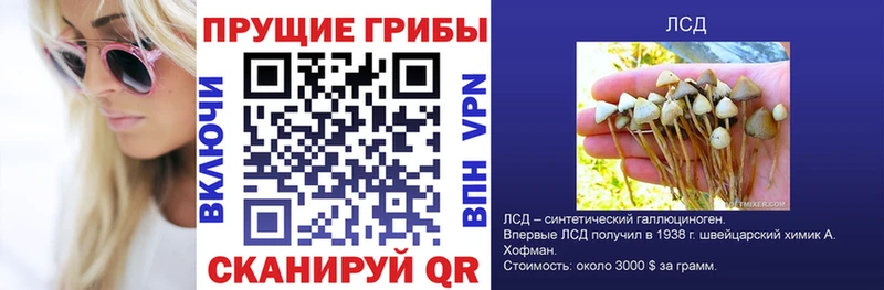 МЕГА вход  площадка наркотические препараты  Галлюциногенные грибы GOLDEN TEACHER  Дзержинск 